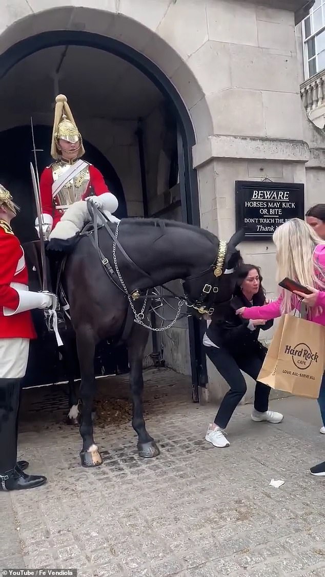 Other tourists manage to help free the woman from the horse's clutches (pictured)