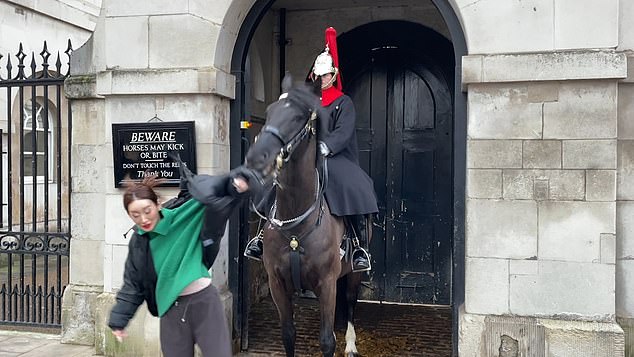 In one incident, when a woman went to pet the horse's face, it bit the arm of her jacket. Refusing to let go, she tugged at the jacket and pushed it back and forth, up and down before finally releasing it.