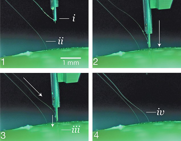 Neuralink's brain-computer interface consists of a computer chip connected to small flexible threads sewn into the brain. A 'stitching robot' (above) removes a small piece of the skull, connects thread-like electrodes to certain areas of the brain and sutures the hole.