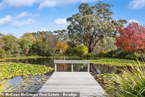 The owners rent the stay to tourists whom they named Crane Cottage in honor of the birds that regularly visit the property to the delight of their guests.