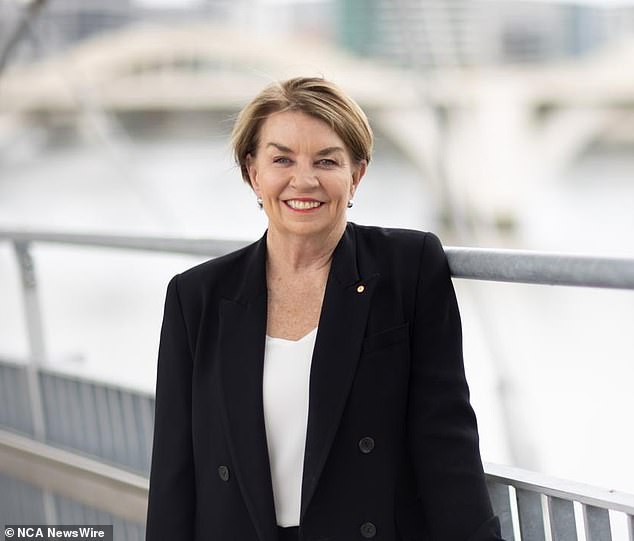 ABA chief Anna Bligh warned against creating a publicly owned bank