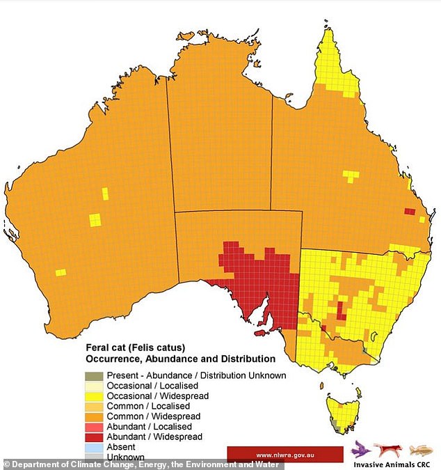 This map shows the distribution of millions of feral cats in Australia. They are more common in the interior and abundant in parts of South Africa.