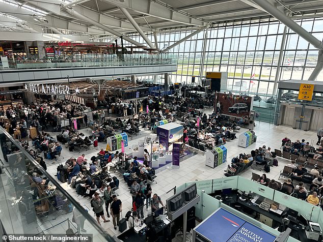 According to Nina, no one enjoyed her job more than Mrs Sahota, whose condition has also taken its toll on the people around her (pictured: Heathrow Terminal 2)