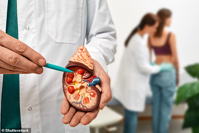 The new study, presented yesterday at the European Renal Association Congress, modeled the impact of using a urine and blood test to detect signs of kidney disease in patients newly diagnosed with diabetes and high blood pressure (file image)