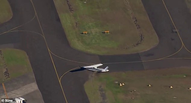 The plane crashed into the top of a tree and barely managed to clear two hangars at Bankstown airport, in the west of the city, before crashing onto the runway and coming to an abrupt stop on the grass about 150 meters later (at the photo).