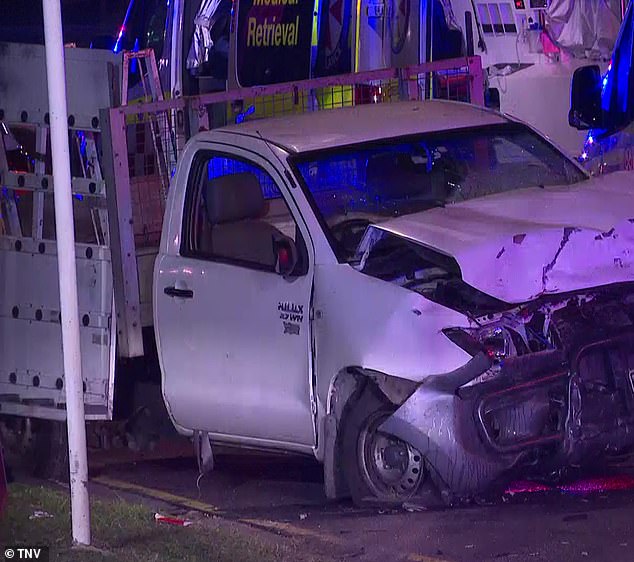 A white pickup truck was seen nearby with damage to the front hood and bumper.