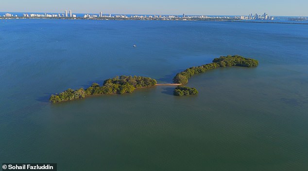 Bird Key is located just 500 yards from the shoreline, south of the 79th Street Causeway, according to the listing. It's 37 acres in total, with about four acres of land surrounded by about 33 acres of 