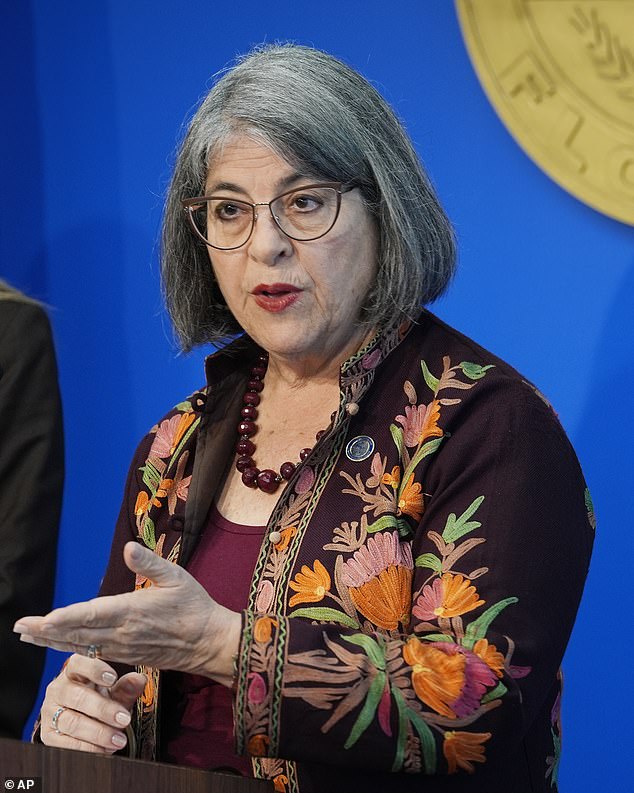 Miami-Dade County Mayor Daniella Levina Cava said her office made an offer to buy Bird Key from Matheson, but it was rejected. The reason for the failure of the agreement is unknown.