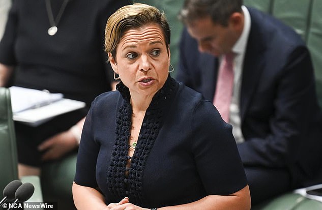 Communications Minister Michelle Rowland (pictured) said she would be willing to impose age restrictions on social media if current laws in Florida, US, were successful.