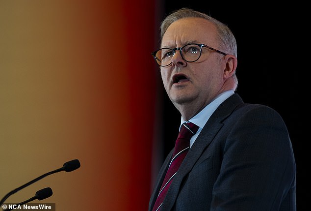 Anthony Albanese (pictured) continues to support his immigration minister - but for how long?