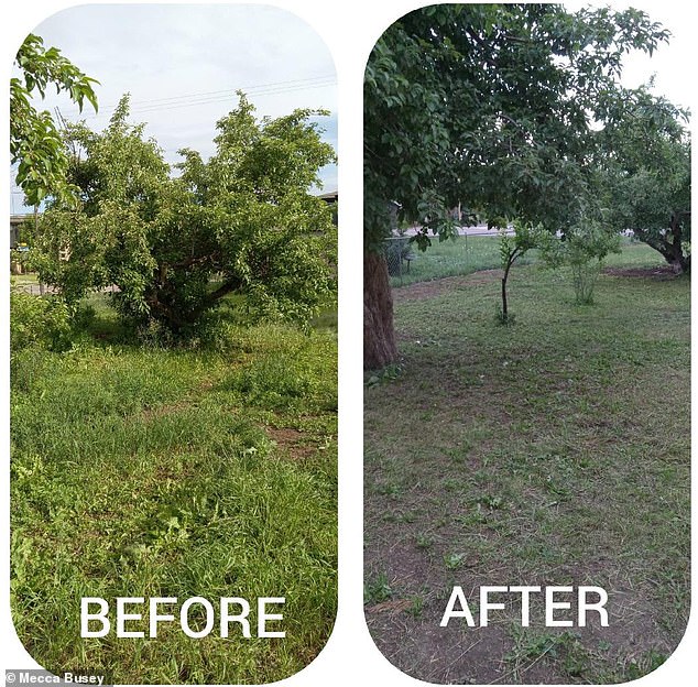 Busey claims he has invested more than $200,000 in home renovations (pictured: before and after of the home's lawn after Busey cleaned it)