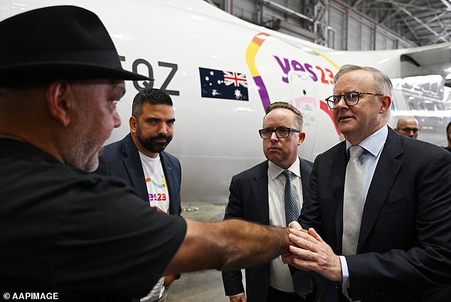 Qantas dressed several planes in Yes23 products and publicly supported Voice