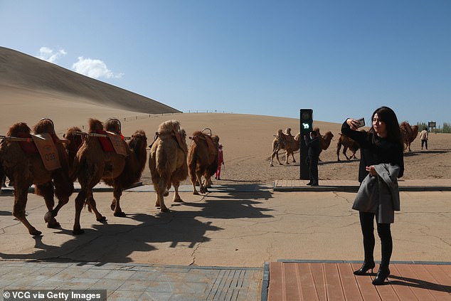 The unique system was installed in 2021 at a popular location on the outskirts of Dunhuang City, northwest China's Gansu Province.