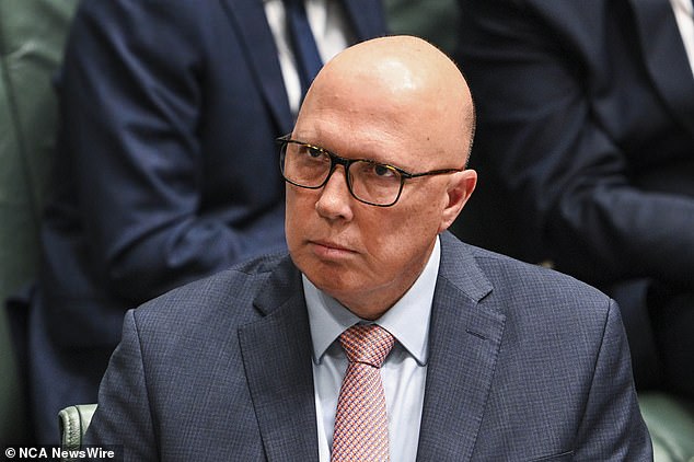 Tingle also shared his clear bias against the opposition by criticizing Liberal Party leader Peter Dutton (pictured).