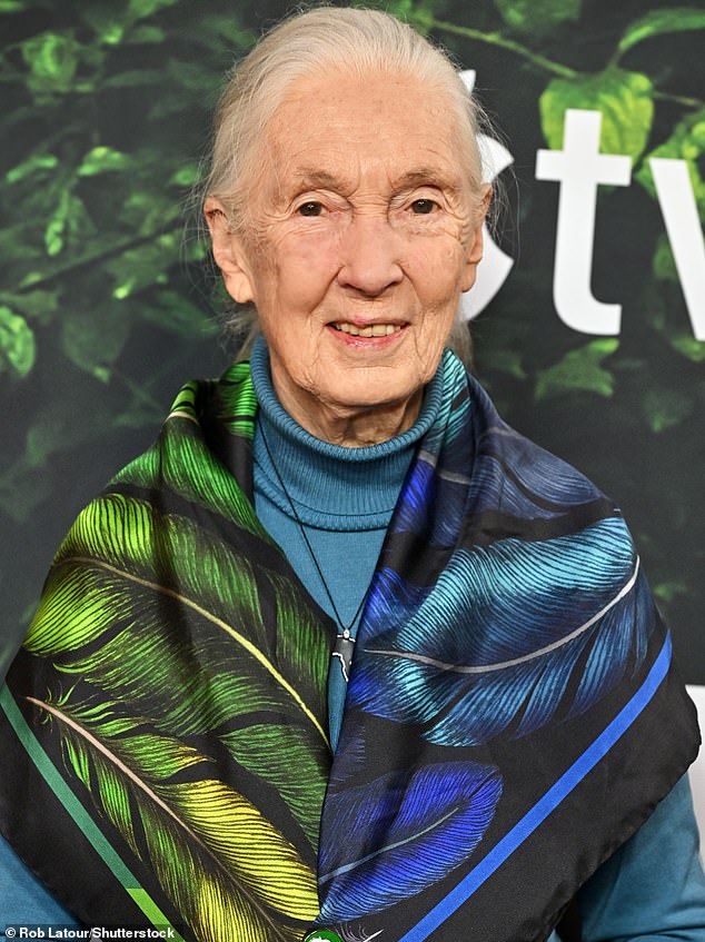 Renowned primatologist Dame Jane Goodall (pictured April 2023) reached the grand old age of 90 last month, but she was in no mood to celebrate.