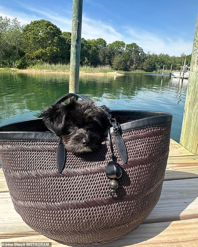 There was also a cute photo of their dog sitting on Irina's black bag.