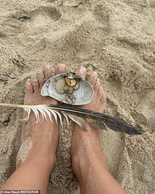 He also found several shells on the beach.