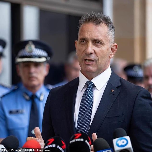 Shadow Police Minister Paul Papalia (pictured) said the horrific shooting demonstrated the need for stricter laws on gun ownership and regulations on firearms seizure.