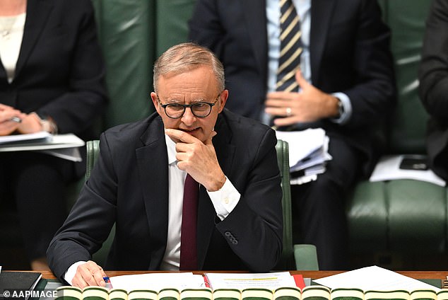 Opposition home affairs spokesman James Paterson and commentator Joe Hildebrand urged Albanese to take decisive action against Giles this week.