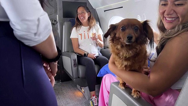 The luxury plane has capacity for 14 people, but the airline does not want to sell more than 10 tickets to make room for 10 dogs.