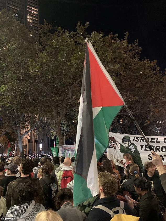 Organizers of the pro-Palestine rally called on the Australian government to do more to protect the Palestinian people.