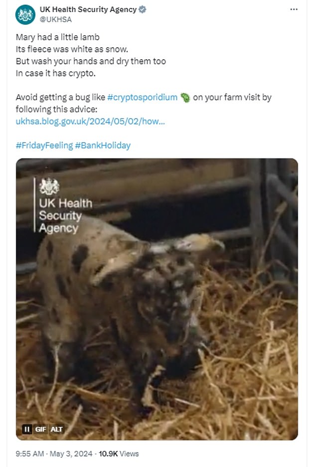 The UKHSA issued a warning about the risk of Cryptosporidium infection on farm visits earlier this month.