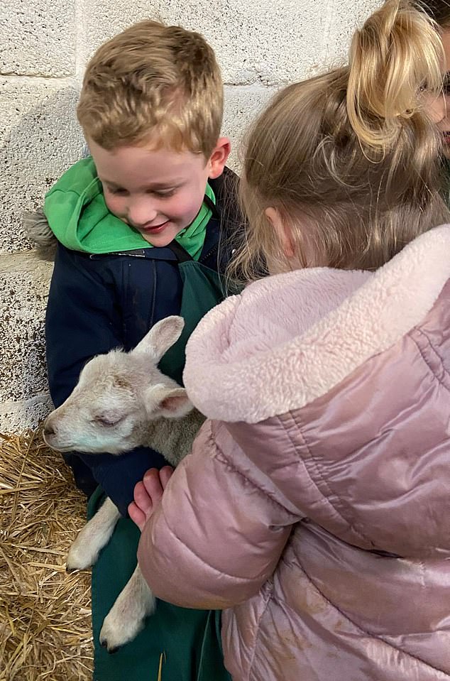 Tom Bayliss, six, and his sister Grace, two, at Hadsham Farm in Horley, Oxfordshire. It is believed that they transmitted cryptosporidiosis from the lambs.