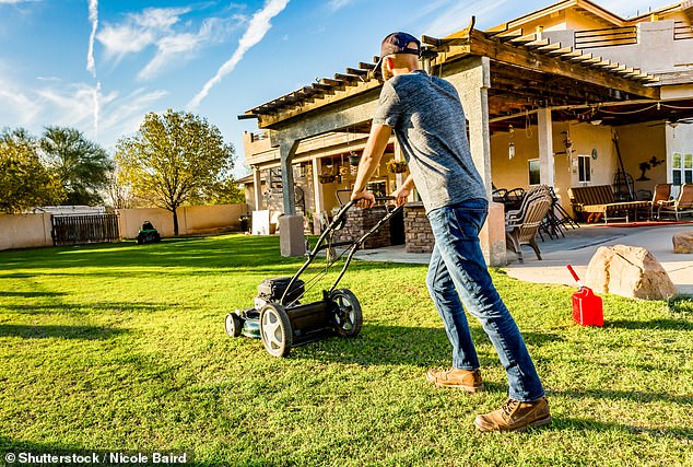 One person wrote: 'Colleague mowing the grass with the camera on. He could be seen coming and going through the patio doors. This was even before the pandemic!'