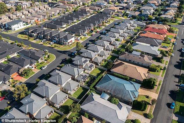 First-home buyers continue to struggle to purchase property in both capital cities and regional Australia (pictured, homes in suburban Sydney)