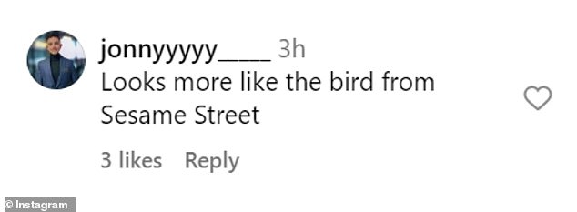Reactions to the costume on the thread were mostly negative, with several users saying it looked more like Sesame Street stalwart Big Bird than Simba.