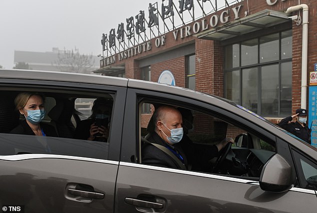 Peter Daszak, right, Thea Fischer, left, and other members of the World Health Organization team investigating the origins of COVID-19 arrive at the Wuhan Institute of Virology.