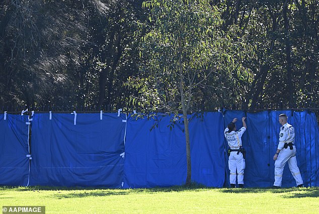 Investigators were seen putting up blue tarps (pictured) after a new search area was identified near the riverbank.