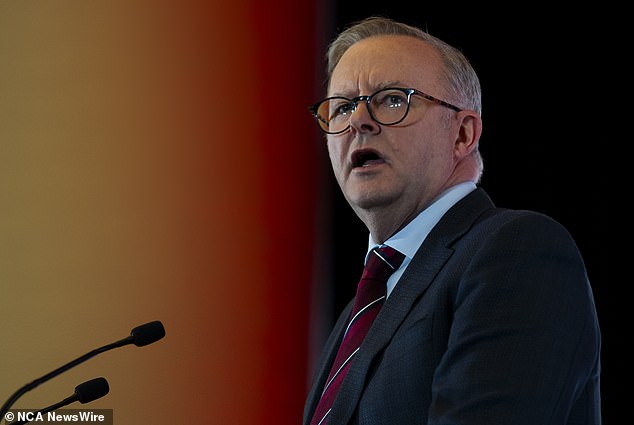 Under pressure: Anthony Albanese (pictured) must show he puts country first and teammate second by sacking his immigration minister