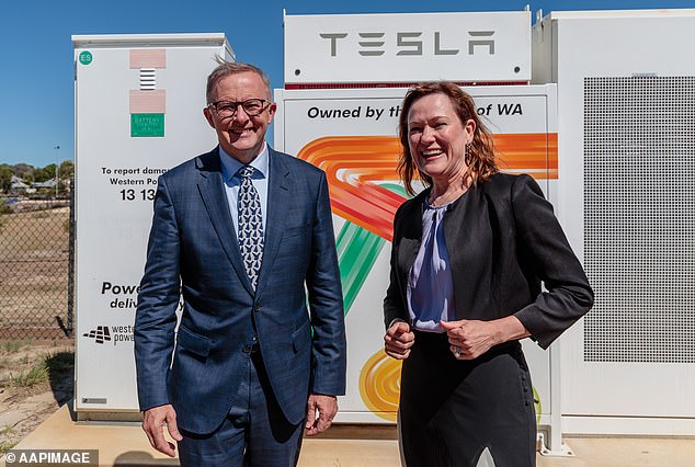 Anthony Albanese has expressed his support for electric vehicles (pictured at a battery site in Perth, WA)