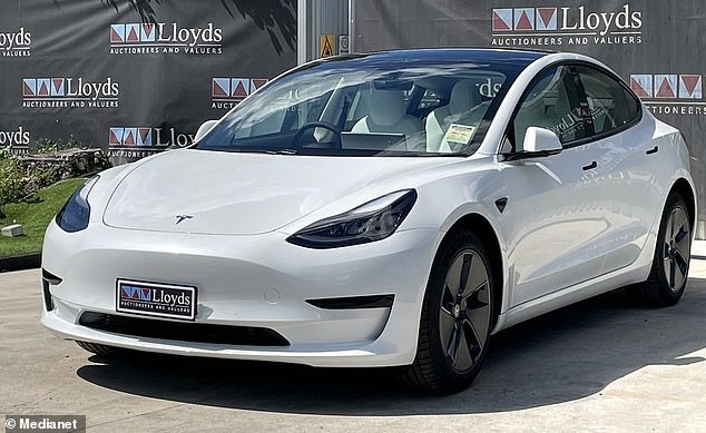 Telsa does not currently source its nickel from the WBN mine in Halmahera and experts are calling on Elon Musk to take a stance against deforestation (pictured, a Tesla Model 3 in 2022).