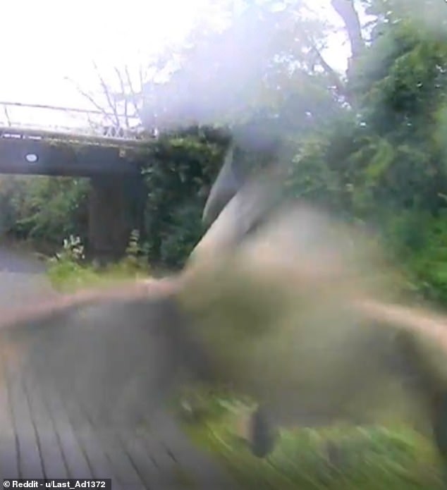 One of the geese (pictured) lunged at the man's head, causing the cyclist to fall from his bike to the ground.