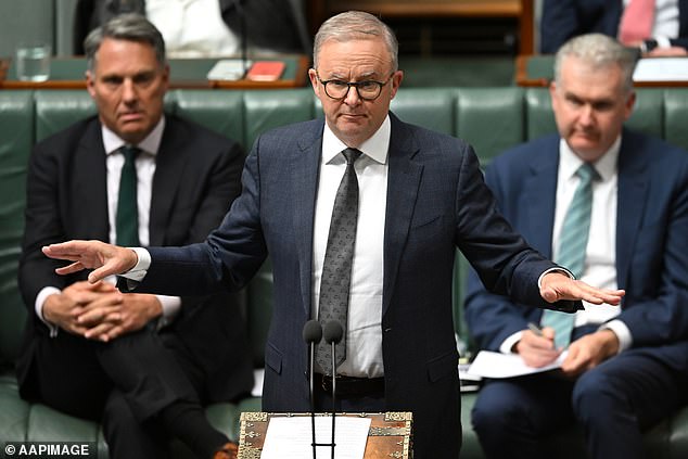 Anthony Albanese backed his embattled minister on Wednesday