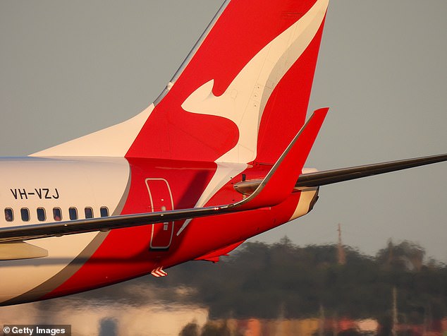 Qantas is being sued by the Transport Workers Union in the Federal Court after sacking almost 1,700 ground employees in November 2020 (file image)