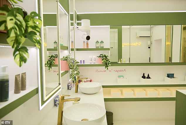 Even the bathroom has been renovated, painted a new shade of moss green and decorated with plants.