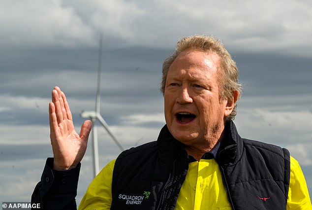 His dispute with the billionaire comes months after Forrest (pictured) announced in January that his company, Squadron Energy, would build the largest wind farm in New South Wales upon completion.