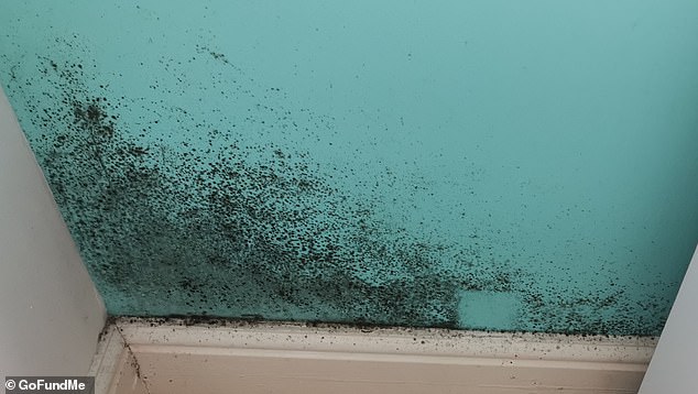 Black mold on the walls of Mrs. Godrich's home, which has been infested with fungus since her home was fitted with cavity wall insulation.