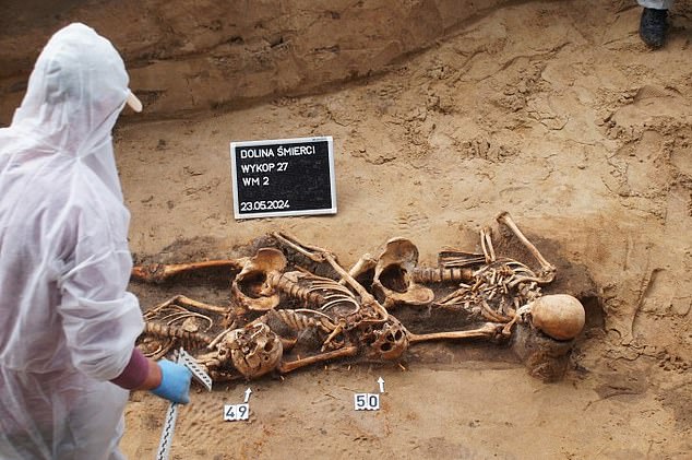 Forensic archaeologists study the remains