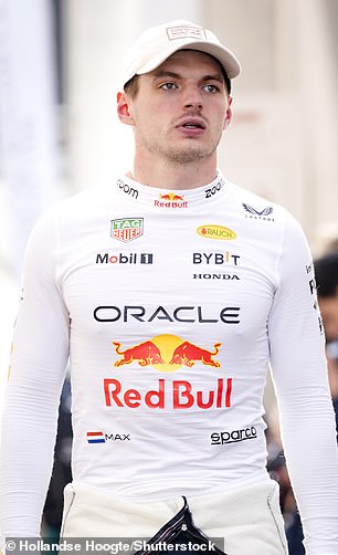 Three-time drivers' champion Max Verstappen is Red Bull's current lead driver