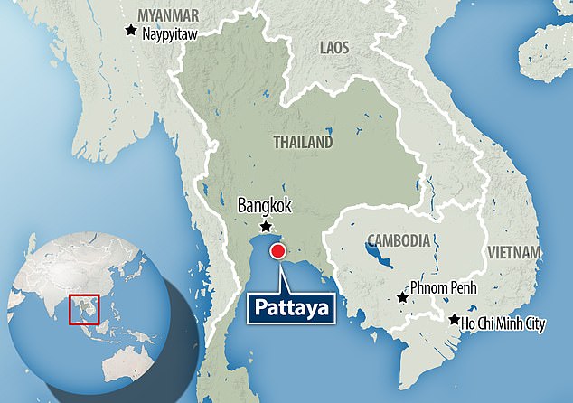 Pattaya emerged as a nightlife destination in the 1960s, when Thailand fought alongside the United States and provided land for eight military bases.
