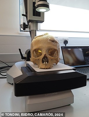 The researchers said the E270 skull also shows a 