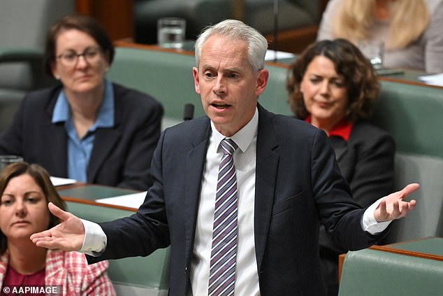 Hanson called on the Prime Minister to sack Andrew Giles (pictured) from the federal cabinet