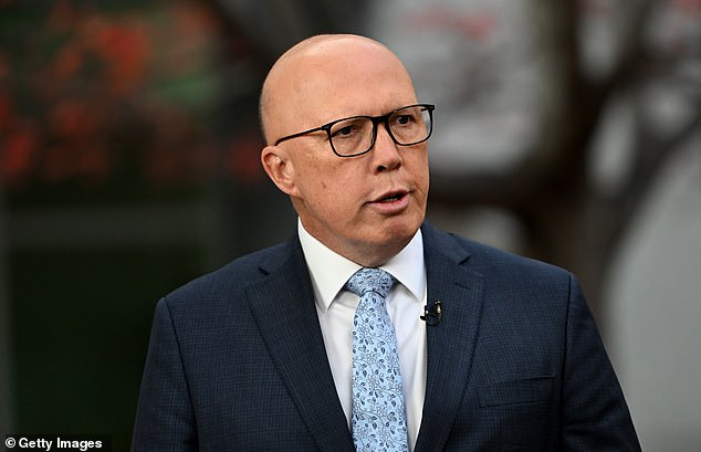 Tingle accused Dutton (pictured) of inciting violence against immigrants during a panel at the Sydney Writers Festival on Sunday.