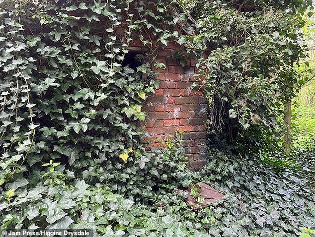 The side of the house that is covered in leaves and vegetation (pictured)