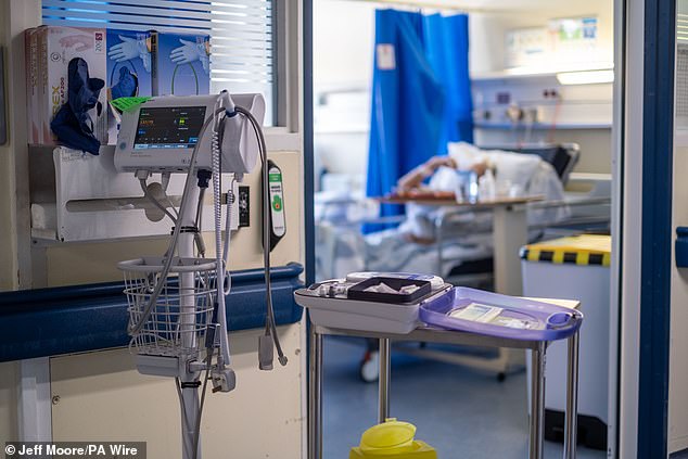 In the last two years, NHS England has invested £900 million in new and improved systems (file image)