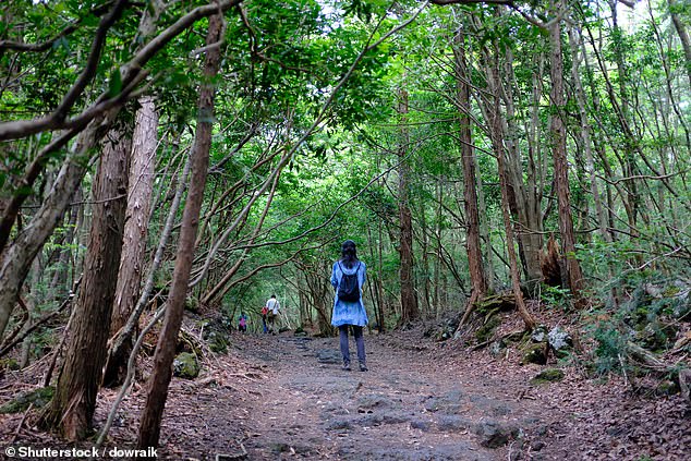 Lucy (not pictured) enjoys a guided tour of Aokigahara Forest